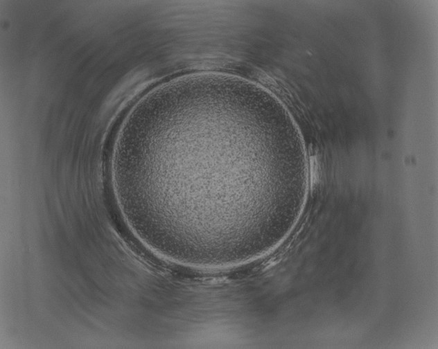 X0000076320243200610061417