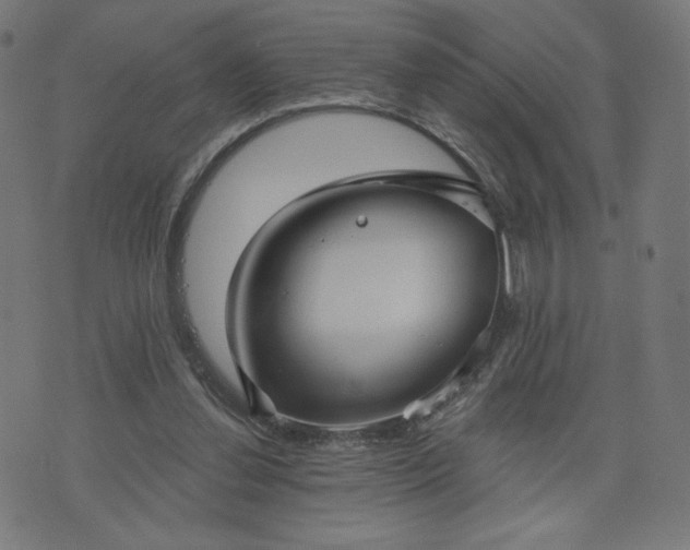 X0000076320252200610061417
