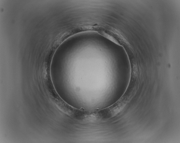 X0000076320259200610061418