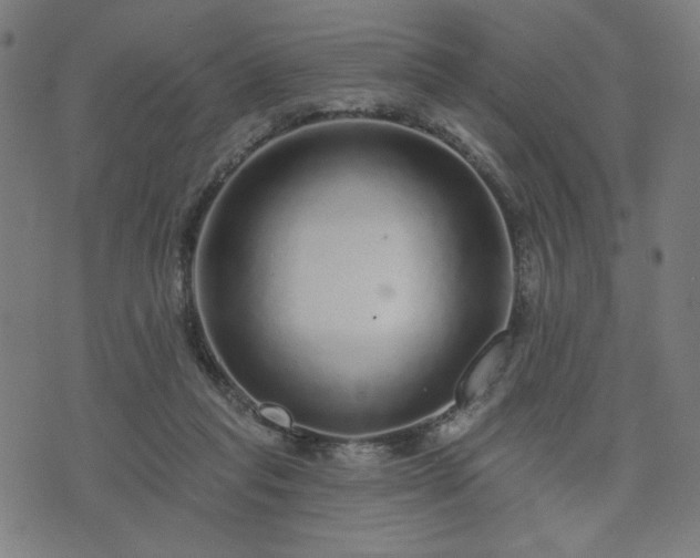 X0000076320261200610061418