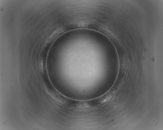 X0000076320262200610061418