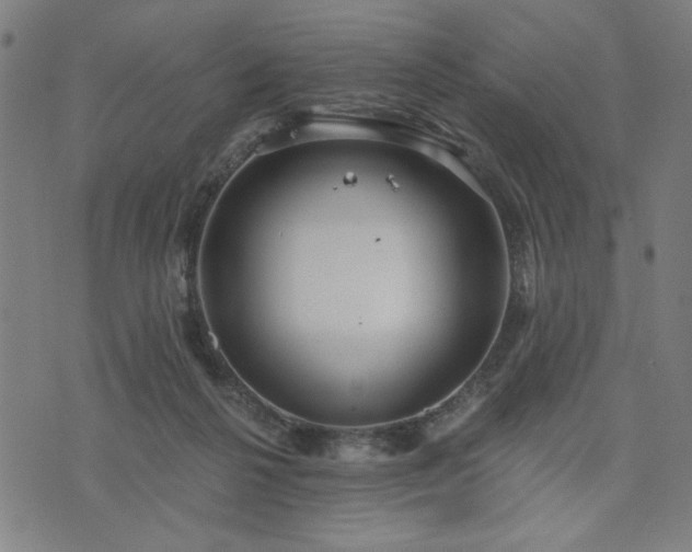 X0000076320264200610061418