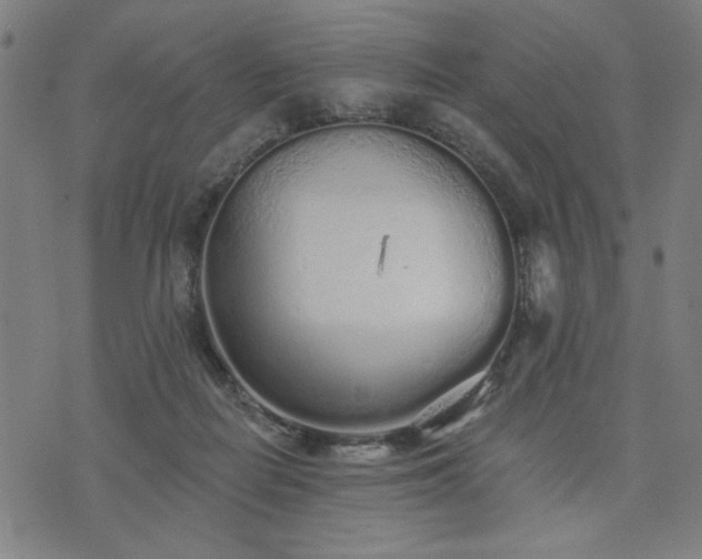 X0000076320266200610061418