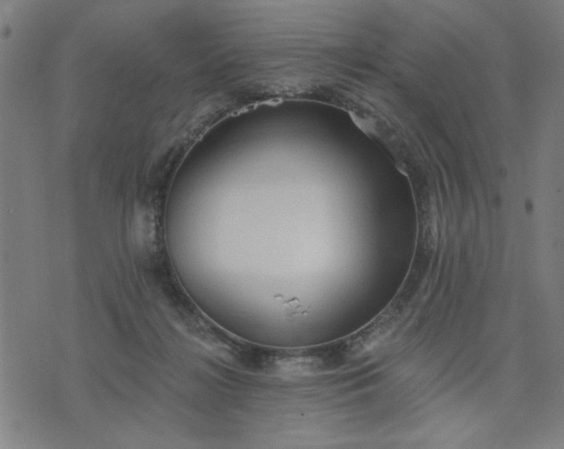 X0000076320268200610061418