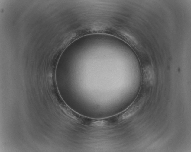 X0000076320269200610061418