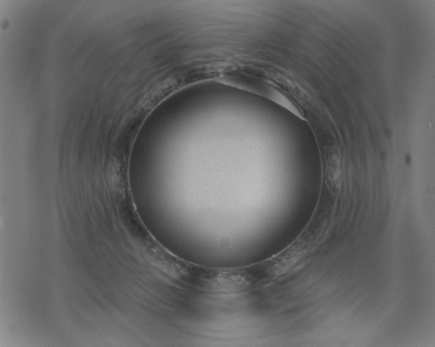 X0000076320270200610061418