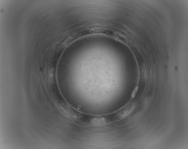 X0000076320271200610061418