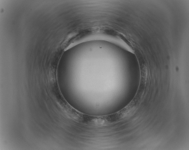 X0000076320272200610061418