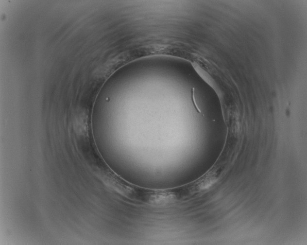 X0000076320274200610061418