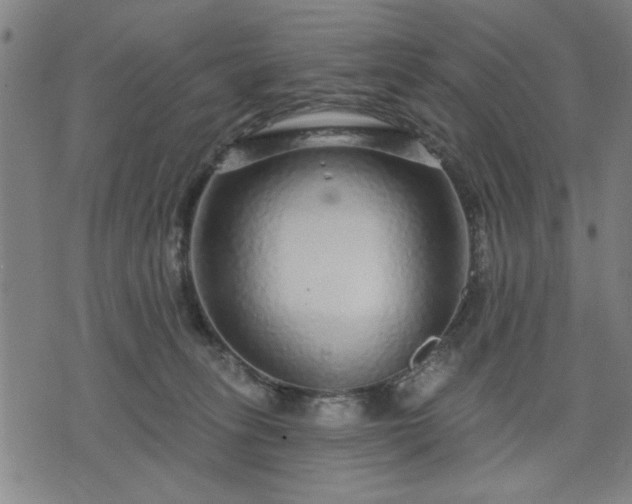 X0000076320275200610061418