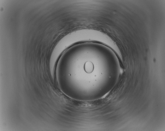 X0000076320276200610061418