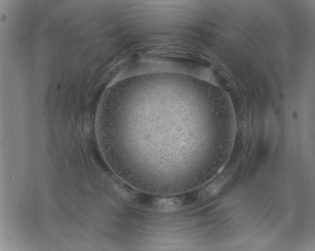 X0000076320277200610061418