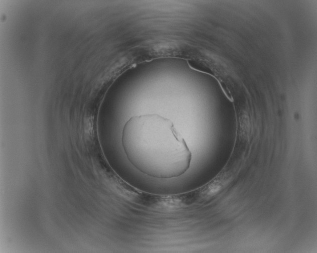 X0000076320278200610061418