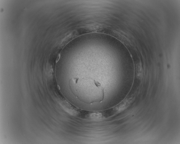 X0000076320279200610061418