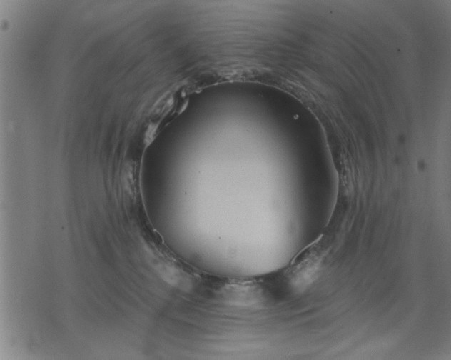 X0000076320280200610061418