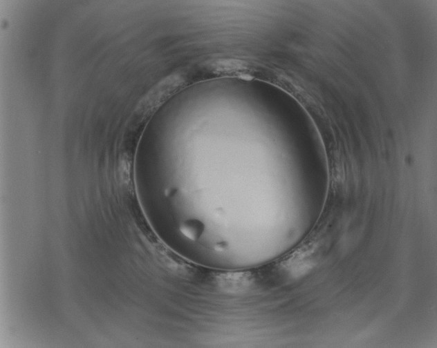 X0000076320281200610061418