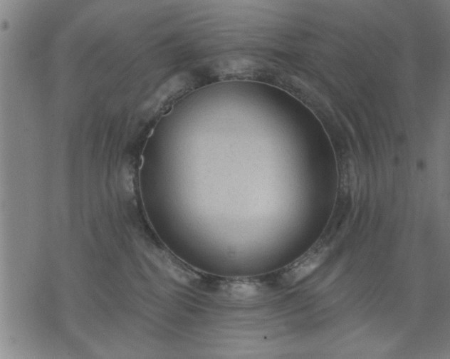 X0000076320282200610061418