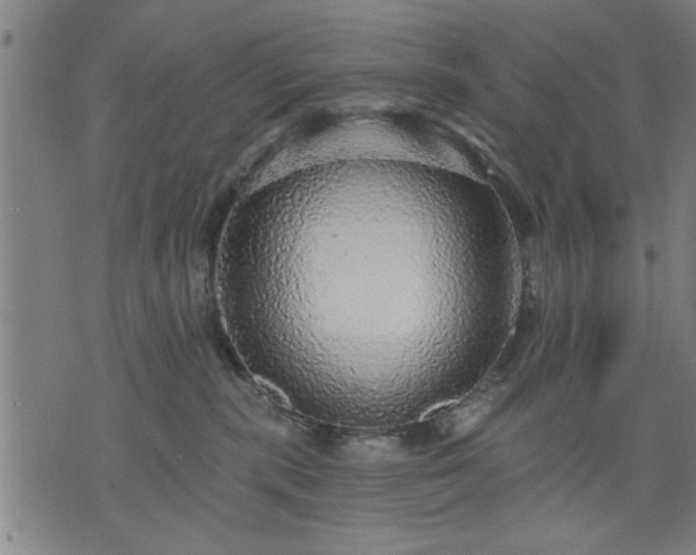 X0000076320283200610061418