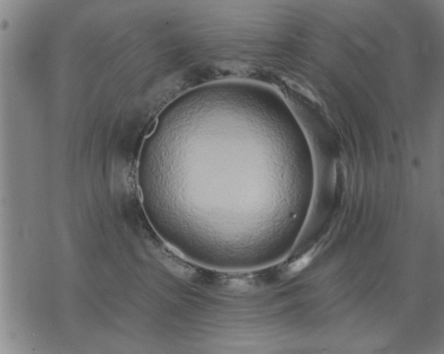 X0000076320285200610061418