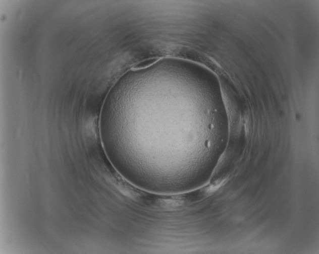 X0000076320286200610061418