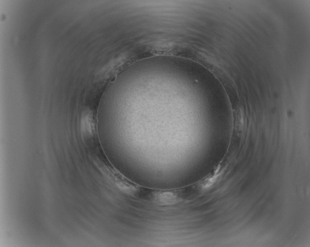 X0000076320287200610061418