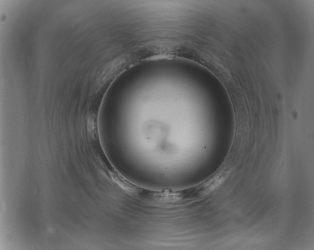 X0000076320288200610061418