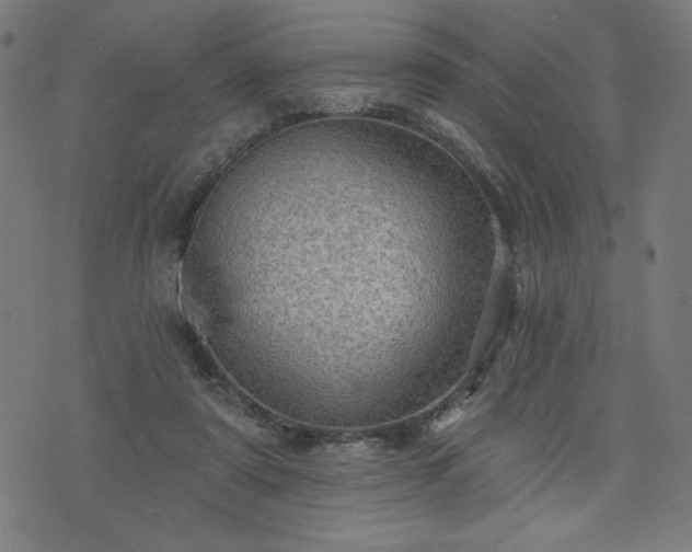 X0000076320307200610061417