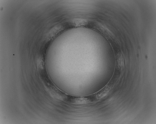 X0000076320316200610061417