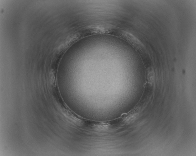 X0000076320318200610061417