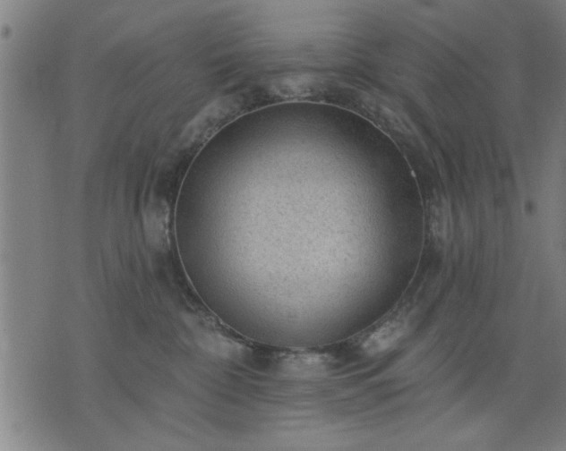 X0000076320332200610061417