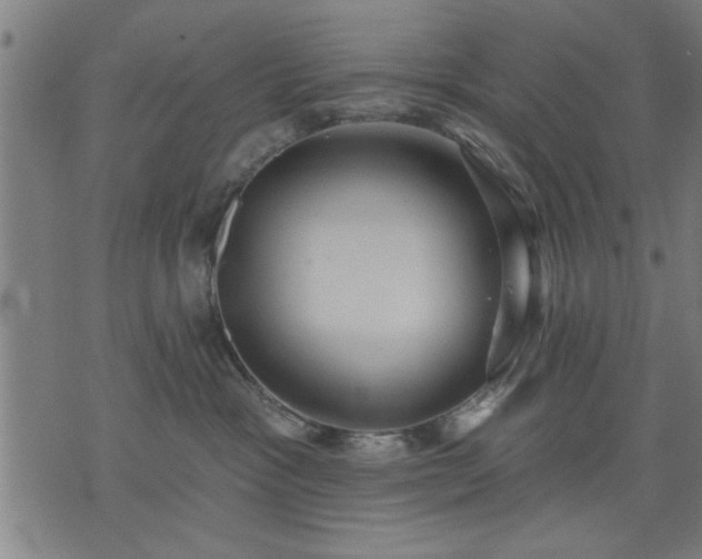 X0000076320333200610061416