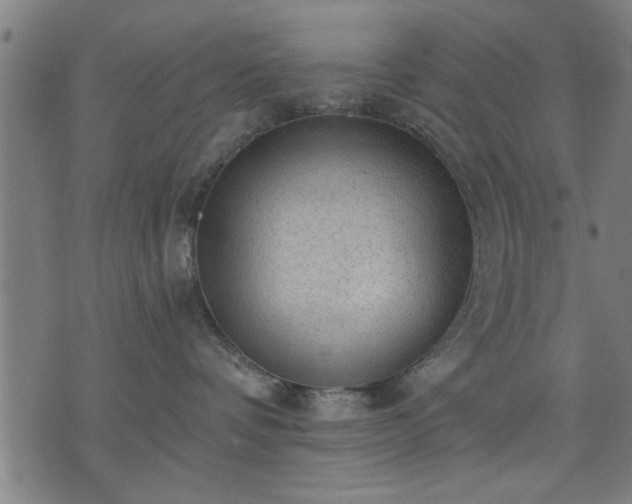 X0000076320336200610061416