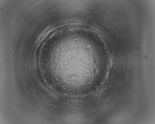 X0000076320339200610061416