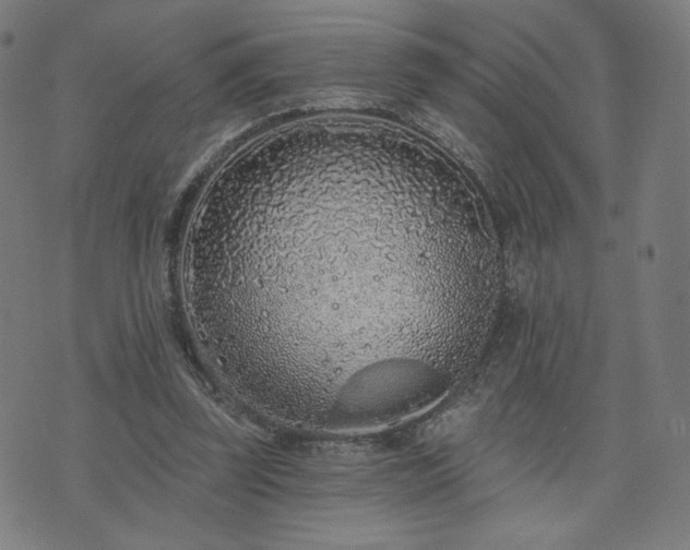 X0000076320347200610061416