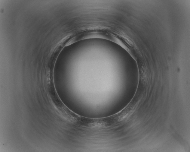 X0000076320356200610061416