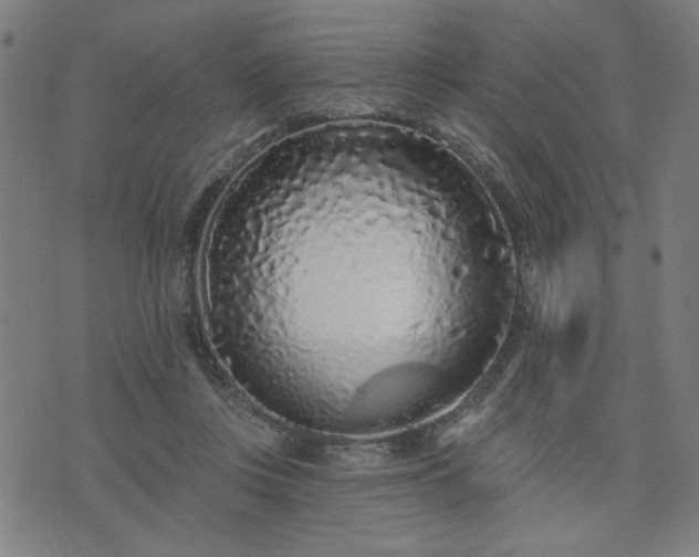 X0000076320359200610061416
