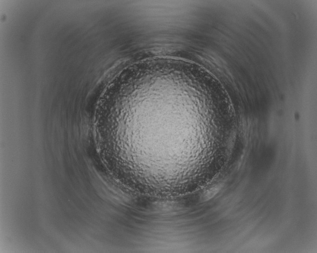 X0000076320367200610061416