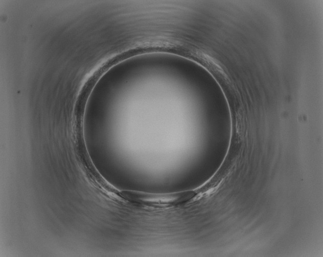 X0000076320388200610061416