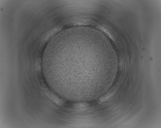 X0000076320402200610061415