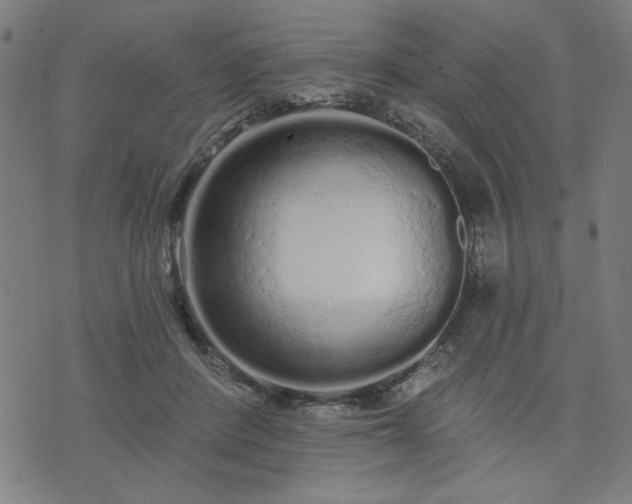 X0000076320408200610061415