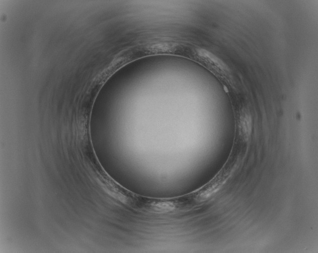 X0000076320409200610061415