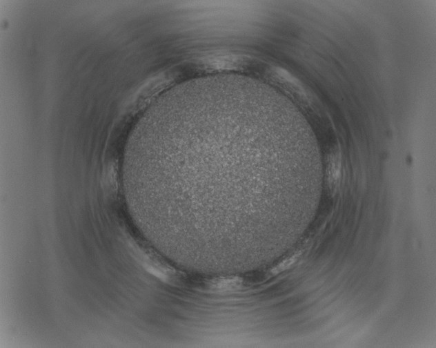 X0000076320410200610061415