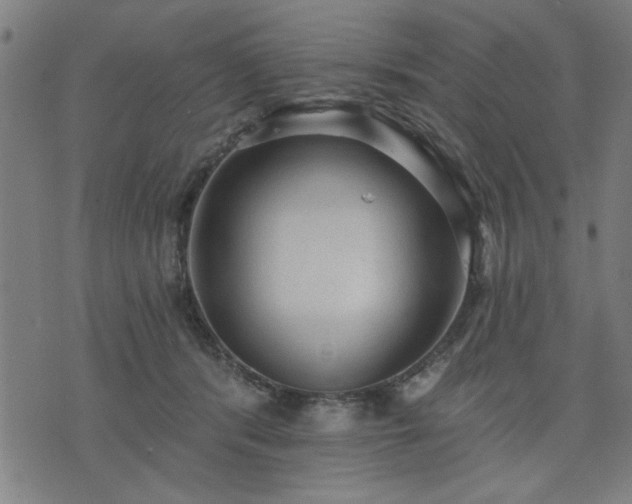 X0000076320416200610061415