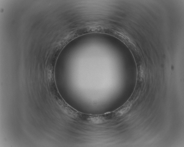 X0000076320417200610061415