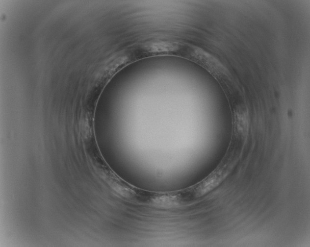 X0000076320422200610061415