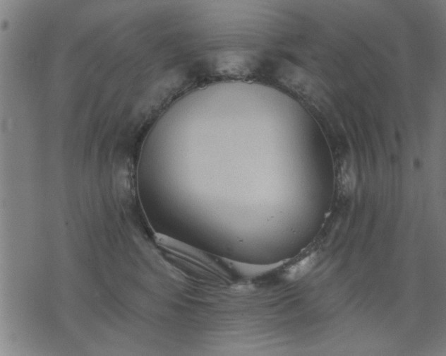 X0000076320424200610061415