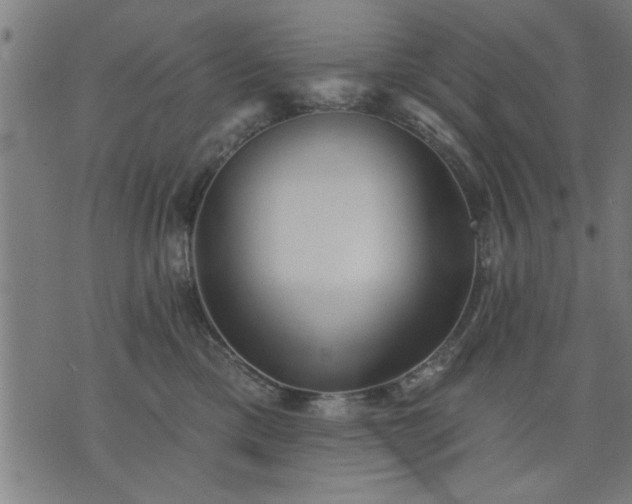 X0000076320425200610061415