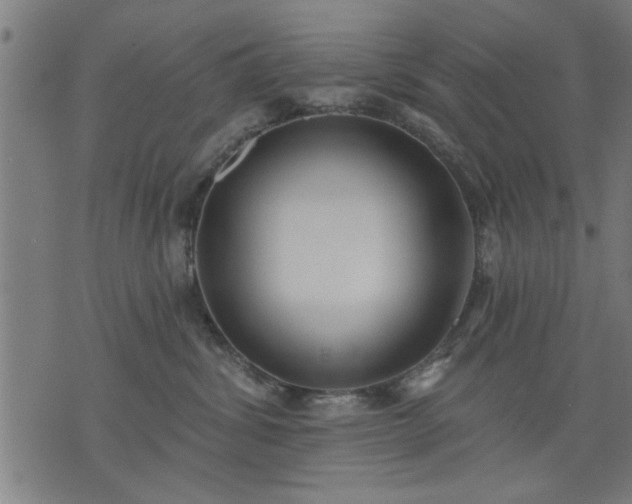 X0000076320428200610061415
