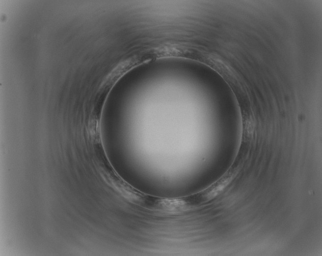 X0000076320429200610061415