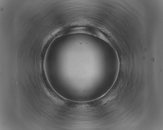 X0000076320446200610061414